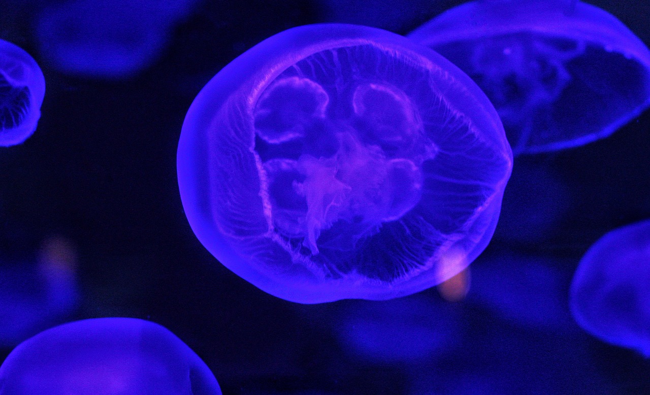 RC professionale, cyber e prodotto in un'unica polizza per il settore Life Science – Scopri Life Science Package