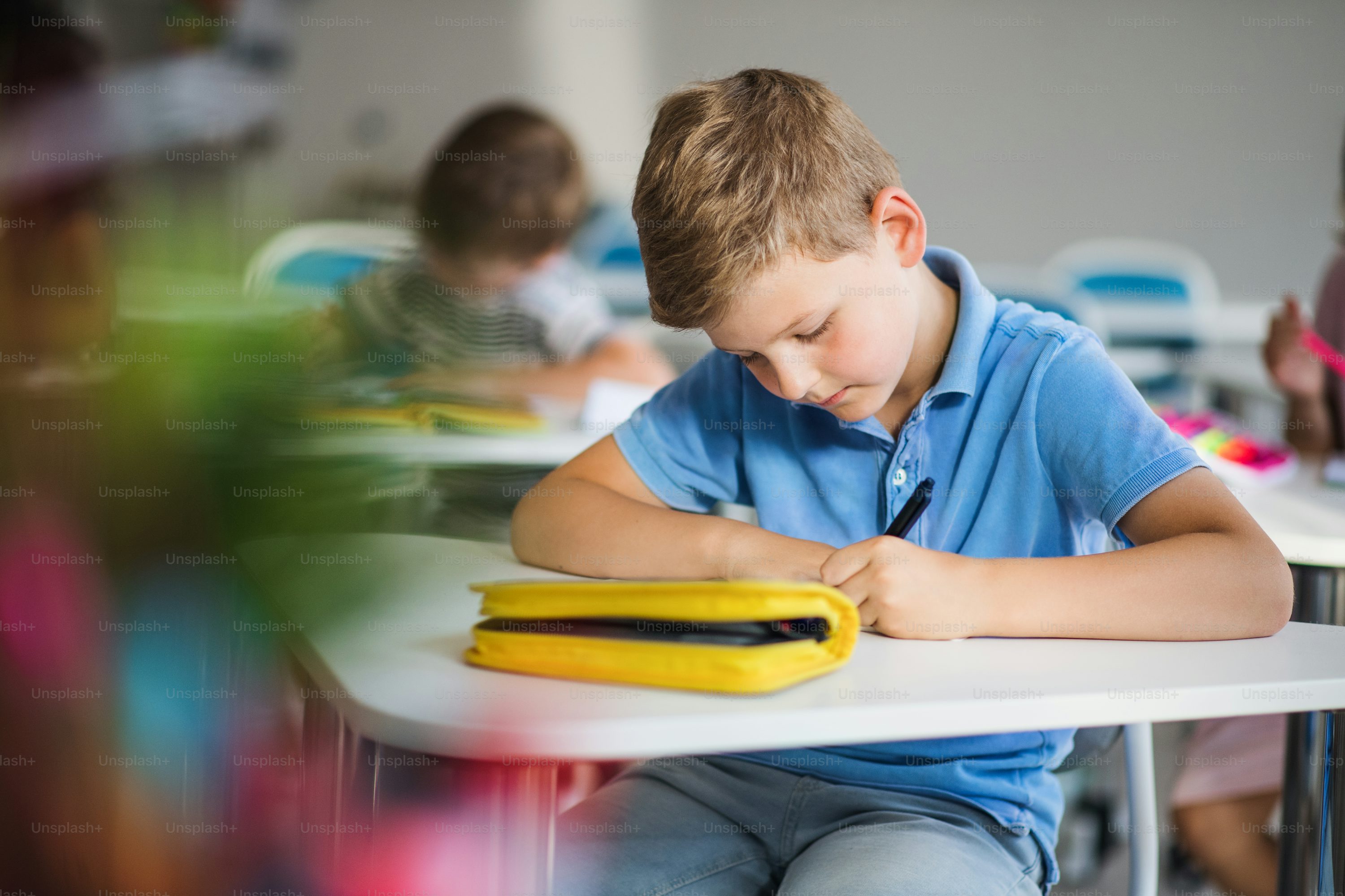 Le assicurazioni scuola; quanto pagano, quali quote e come funzionano